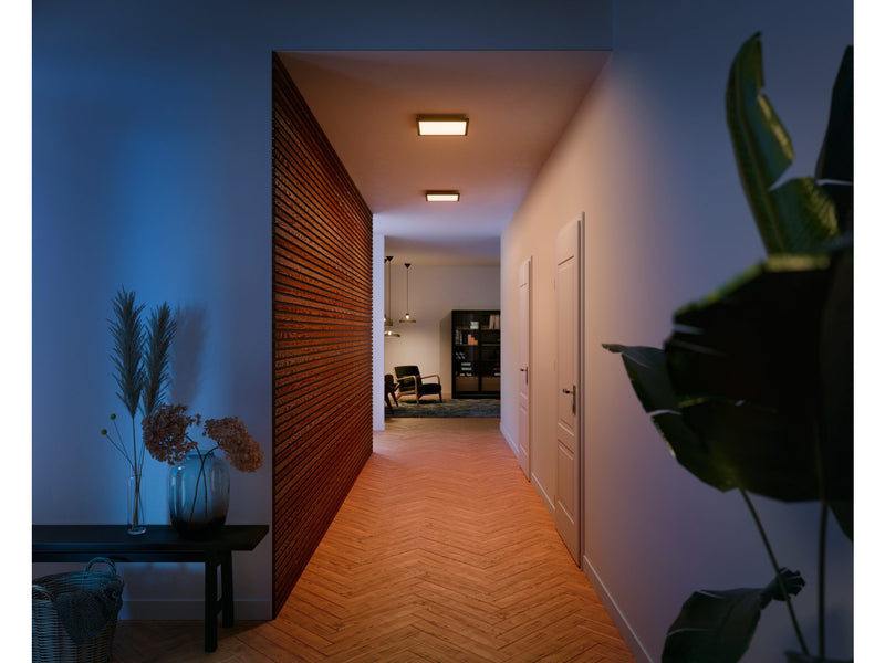 Philips Aurelle Hue Panel 19W Square Ceiling Light - White