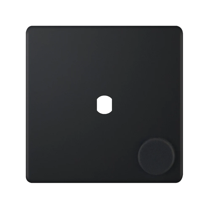 Hilton 1 Gang Empty Dimmer Plate with Knob – Matt Black
