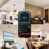 Lithe Audio Wi-Fi Ceiling Speaker (Pair - Active/Passive) - V2