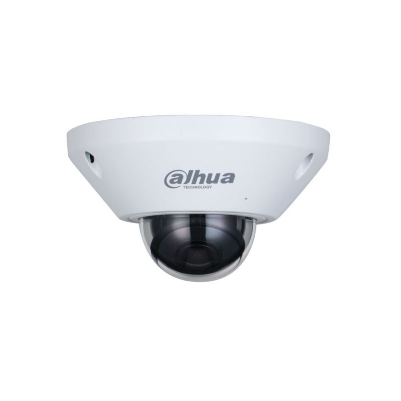 Dahua IPC-EB5541P-AS Dahua anti-vandal day / night IP fisheye