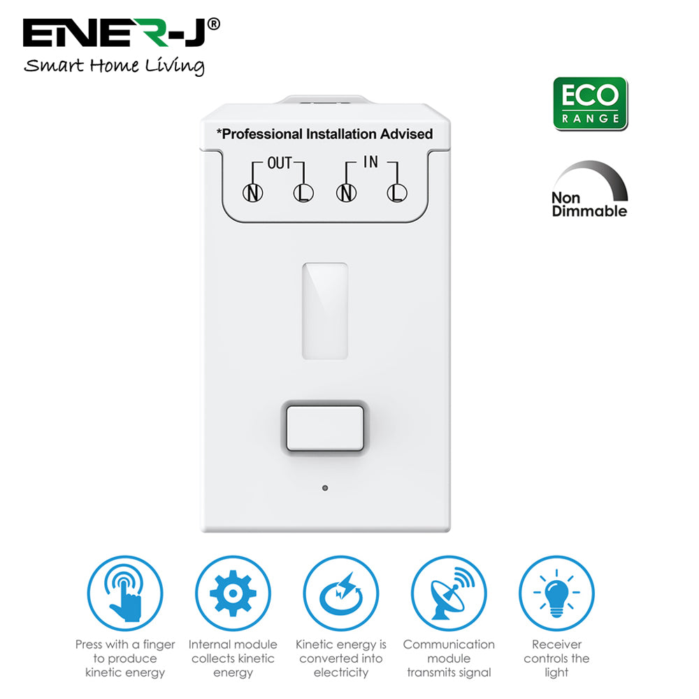 Ener-J Non Dimmable 500W RF Receiver