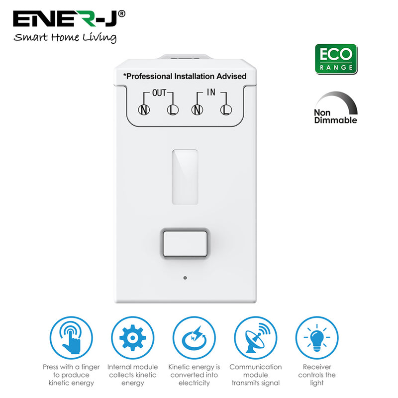 Ener-J Non Dimmable 500W RF Receiver