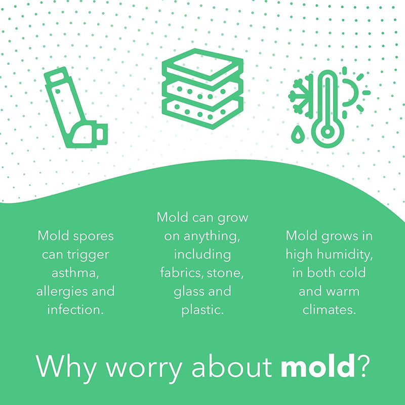 Airthings Wave Mini Indoor Air Quality Monitor