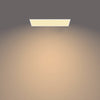 Philips CL560 Functional Ceiling Light, Rectangular Panel 36W 27K - White