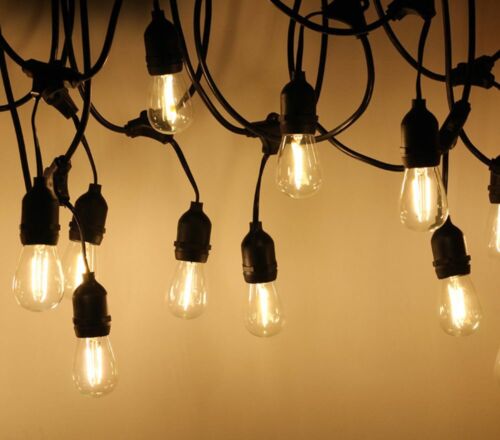 Ener-J LED Festoon Kit (15.2m) iNC 15X2w Filament LED Bulbs